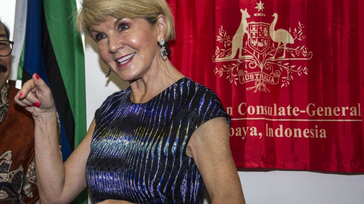 UN urged to probe Myanmar envoy Julie Bishop over alleged China firms ties | United Nations News UN urged to probe Myanmar envoy Julie Bishop over alleged China firms ties | United Nations News