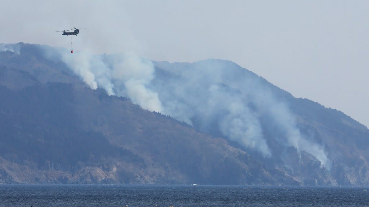 Japan deploys 2,000 firefighters to tackle worst forest blaze in decades | Climate Crisis News Japan deploys 2,000 firefighters to tackle worst forest blaze in decades | Climate Crisis News
