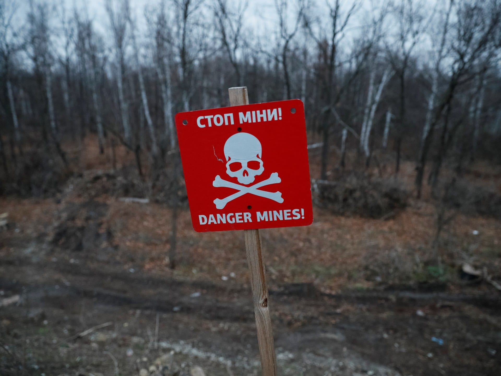 Poland and Baltic states to dump landmine treaty citing Russian threat | News