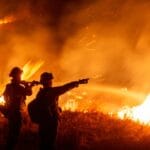 Trump mass layoffs cause uncertainty among federal firefighting workforce | Donald Trump News