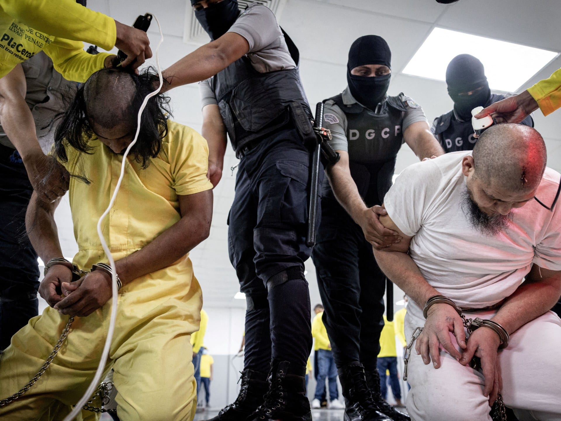 Trump deports 238 ‘gang members’ to El Salvador: What’s the controversy? | Courts News