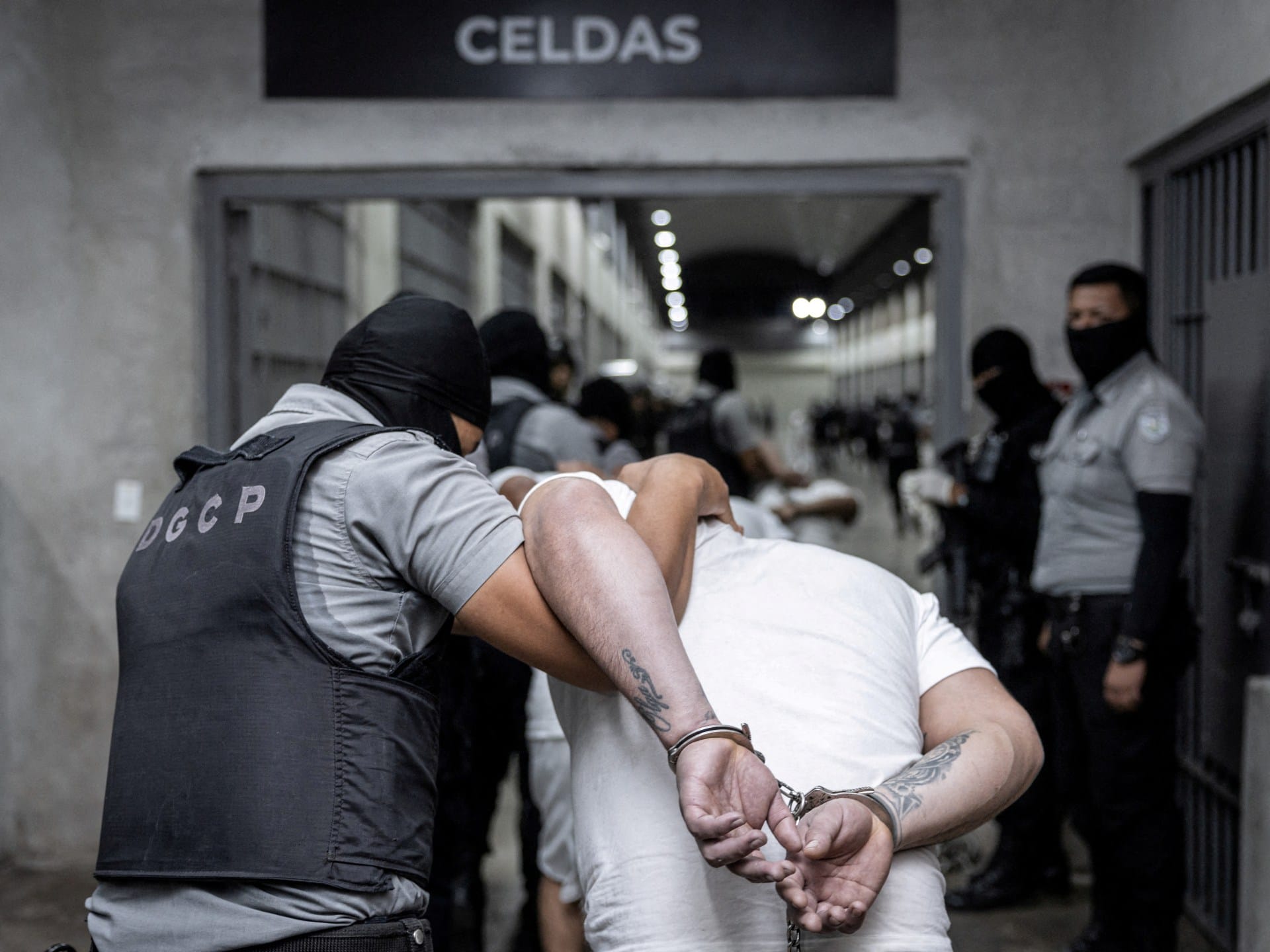Fact check: Is Tren de Aragua invading the US, as Trump says? | Donald Trump News