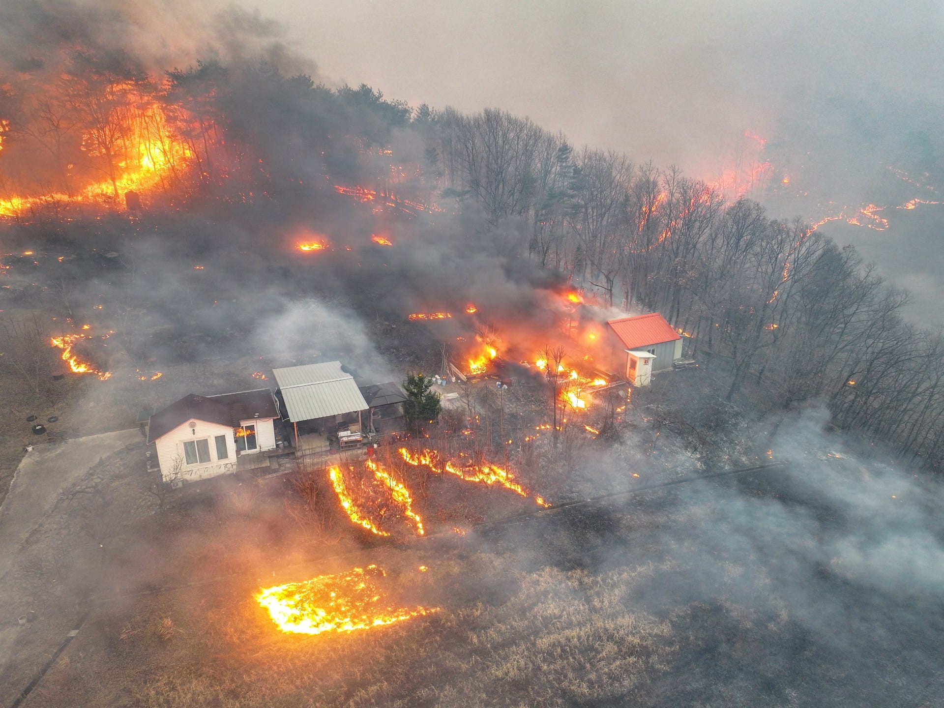At least 18 dead as ‘unprecedented’ wildfires rage across South Korea | Environment News
