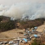 Wildfires kill 19 and displace thousands in South Korea | In Pictures News