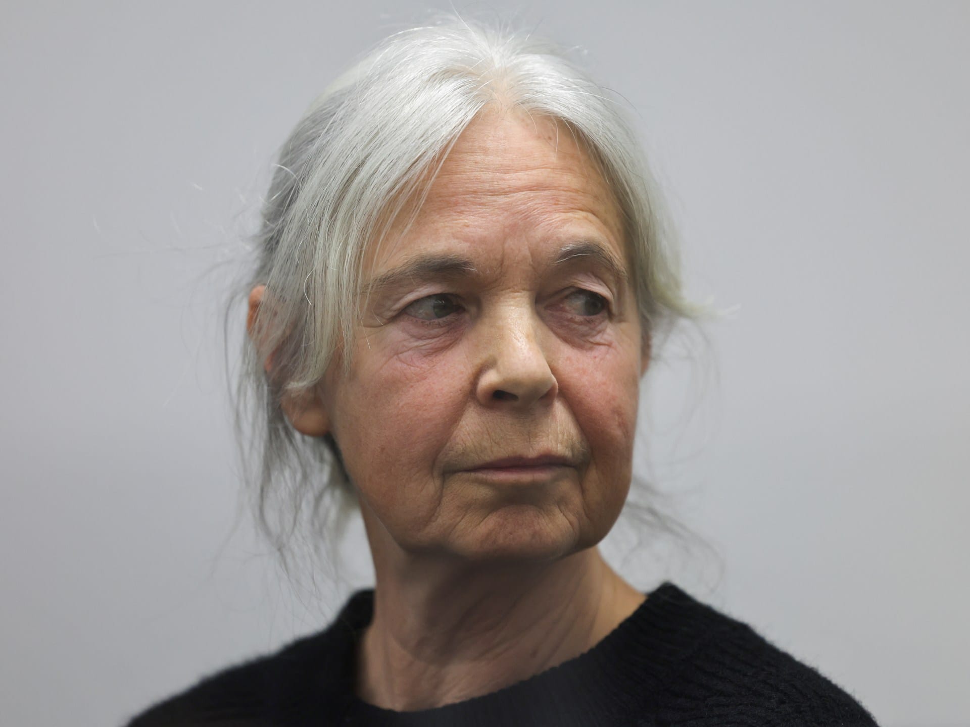Germany launches trial of former Baader-Meinhof gang member | Courts News Germany launches trial of former Baader-Meinhof gang member | Courts News