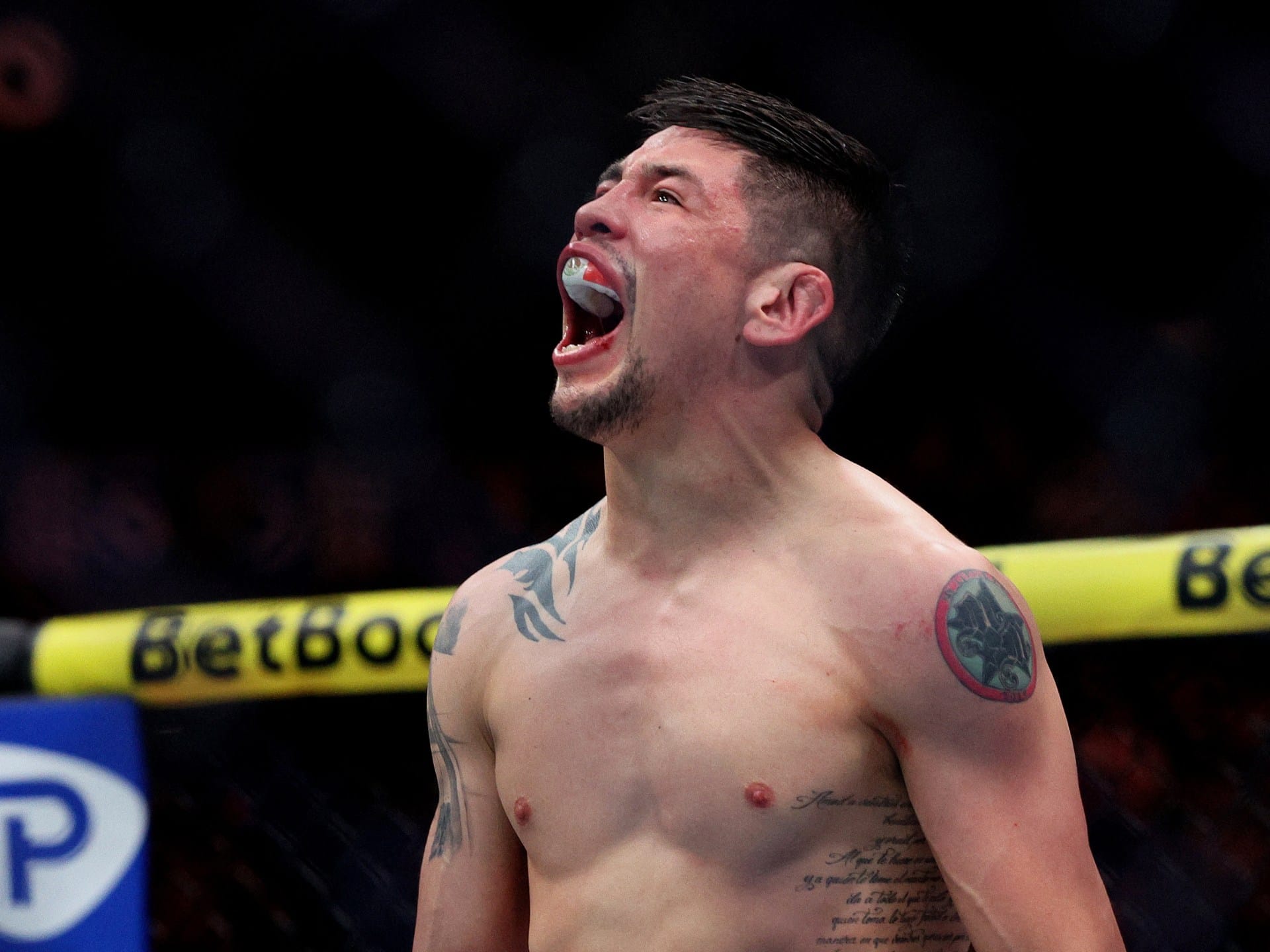 Moreno defeats Erceg at UFC Mexico City Fight Night | Mixed Martial Arts News Moreno defeats Erceg at UFC Mexico City Fight Night | Mixed Martial Arts News