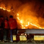 South Korea says wildfires worst in its history, death toll rises to 26 | Wildlife News