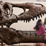 Trump orders removal of ‘improper ideology’ from top US museums | Donald Trump News