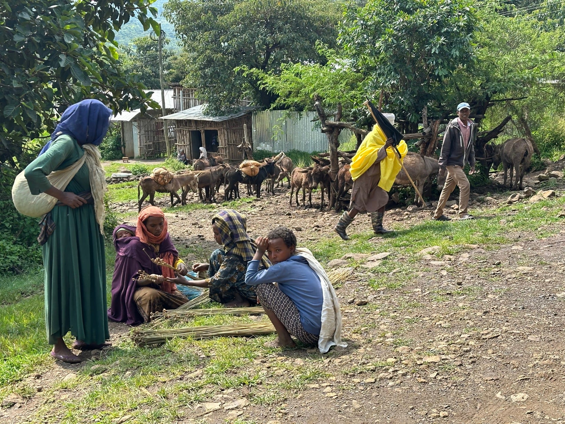 ‘We just want peace’: A pacifist community amid Ethiopia’s Amhara conflict | Conflict News ‘We just want peace’: A pacifist community amid Ethiopia’s Amhara conflict | Conflict News