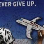 Malaysia greenlights new search for missing flight MH370 | Aviation News