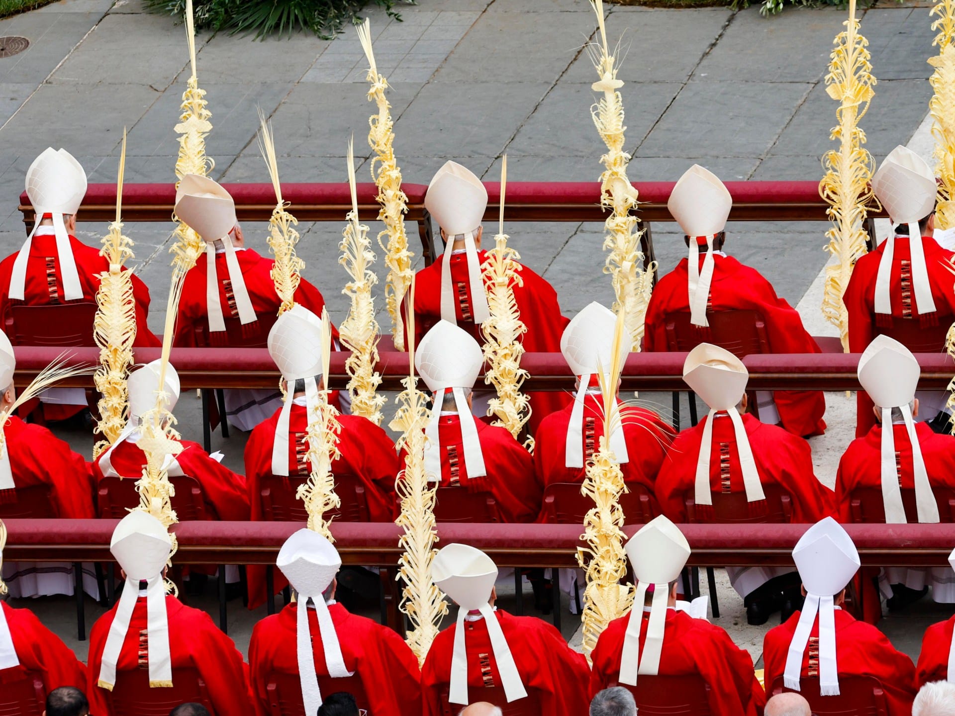 Cardinals meet decide funeral plans for Pope Francis | Religion News