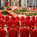 Pope wanted: What are cardinals looking for in a new leader? | Religion News