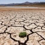 Record global temperatures in March illustrate threat to climate goals | Climate Crisis News