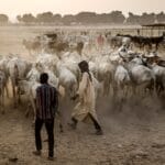 Herder-farmer clashes in Nigeria kill at least 17 | Politics News