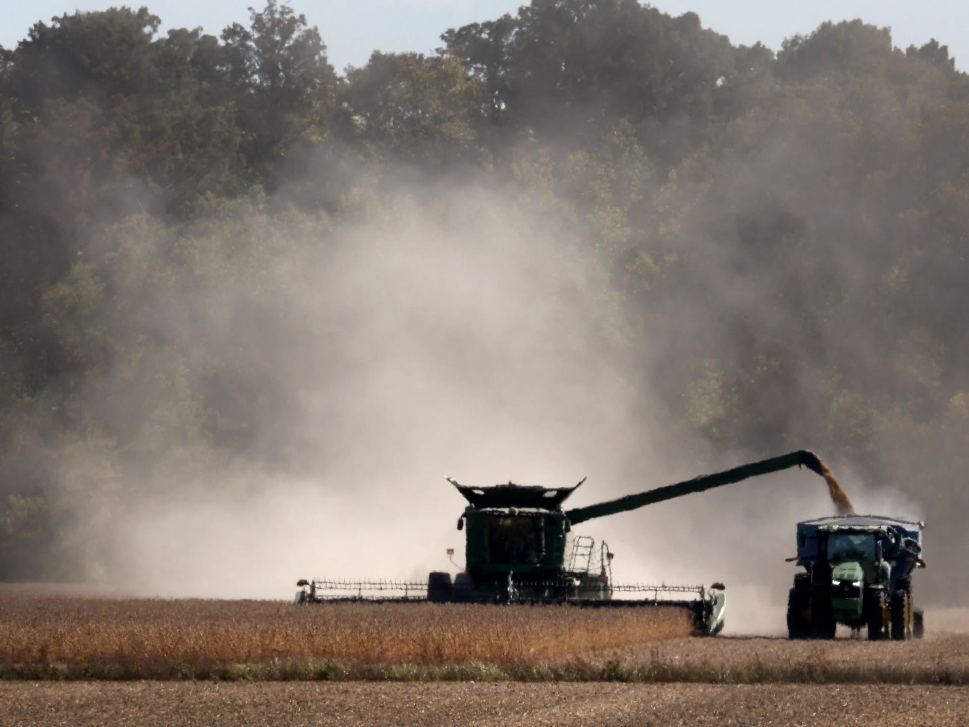 Soybeans: China and EU’s secret weapon against Trump’s tariff wars? | Trade War News