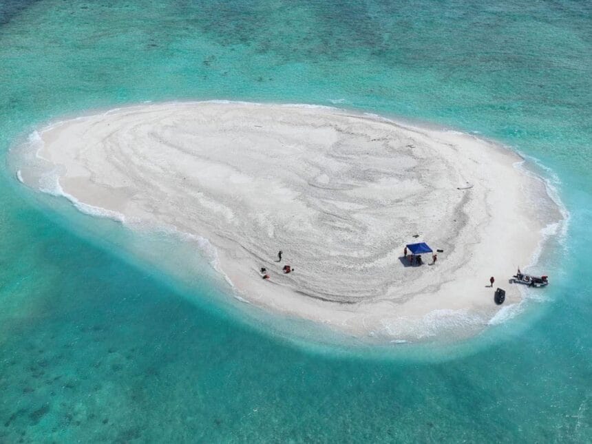 Manila denies China ‘dealt with’ Philippine mission to disputed reef | South China Sea News