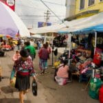 Ecuador’s Indigenous movement splinters over presidential election support | Elections News