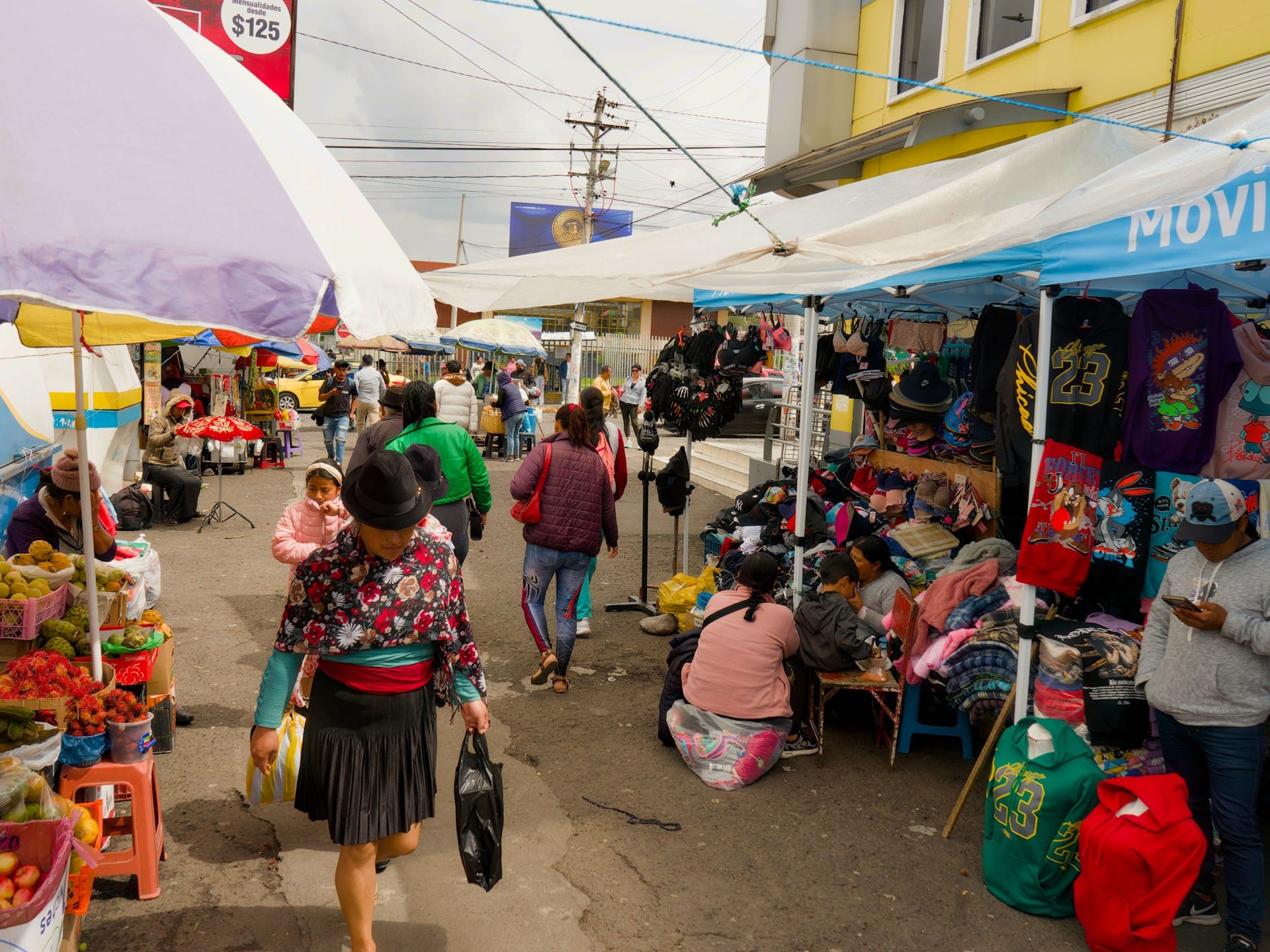Ecuador’s Indigenous movement splinters over presidential election support | Elections News