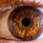 Have scientists discovered a new colour called ‘olo’? | Science and Technology News