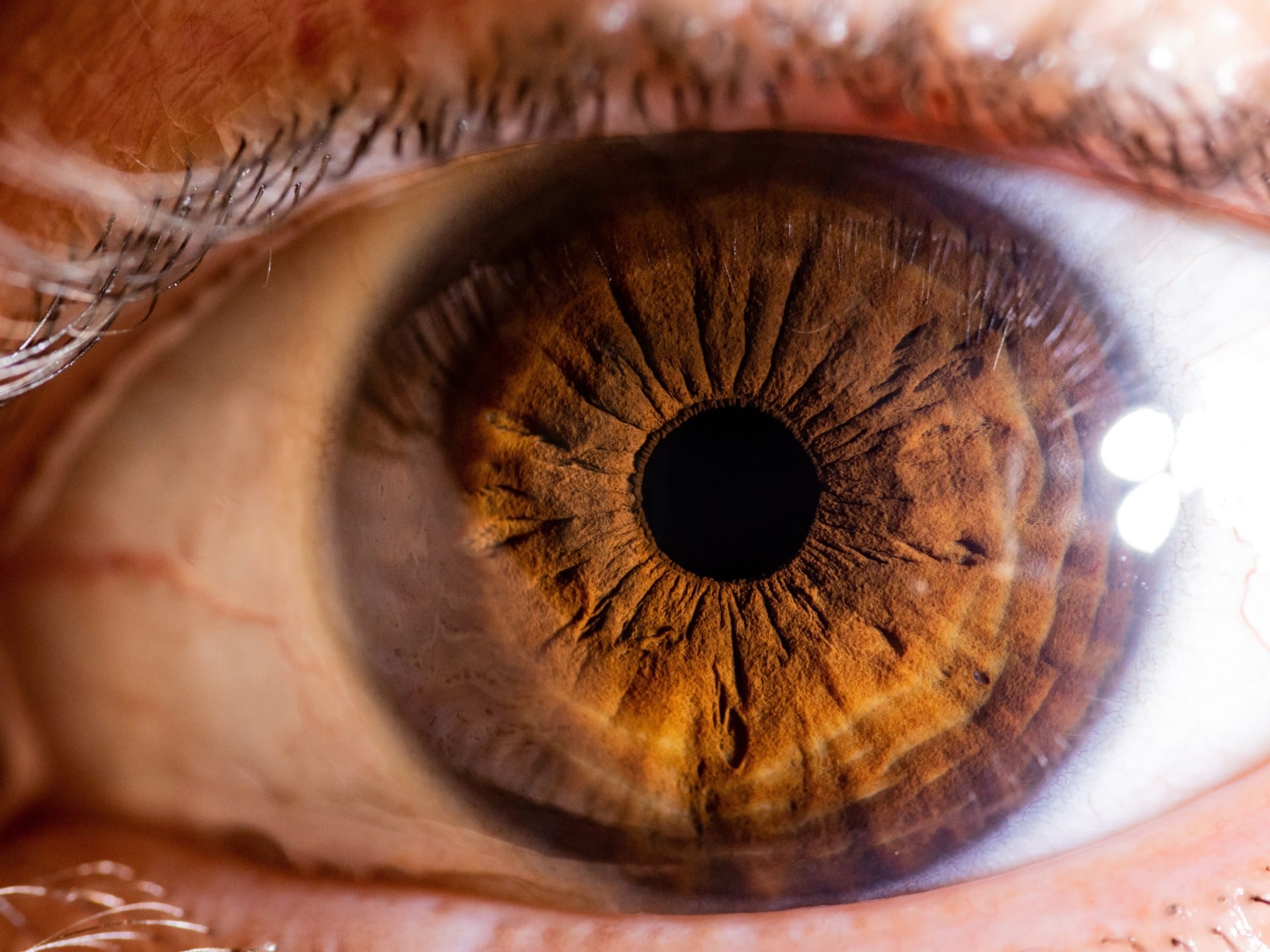 Have scientists discovered a new colour called ‘olo’? | Science and Technology News Have scientists discovered a new colour called ‘olo’? | Science and Technology News
